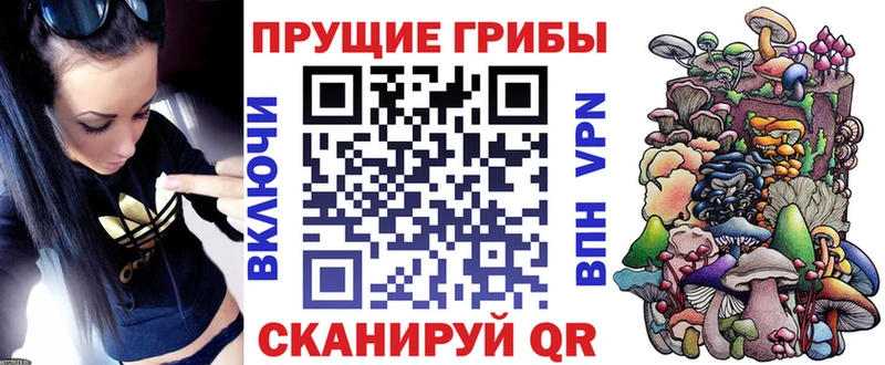 Псилоцибиновые грибы ЛСД Ставрополь