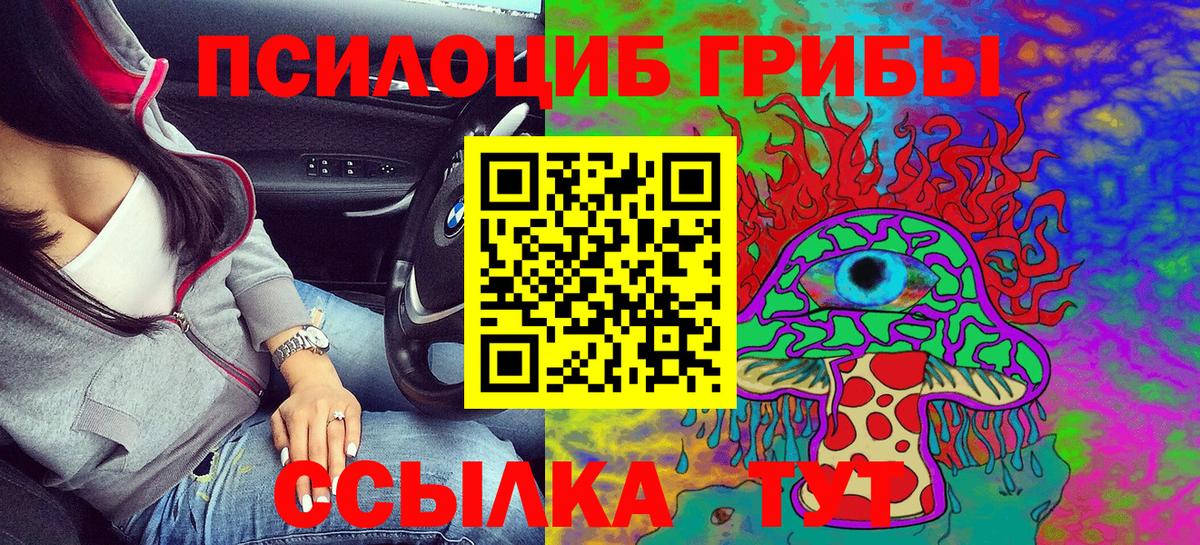Ставрополь  Псилоцибиновые грибы Psilocybe  цены   Вход с VPN  Псилоцибиновые грибы Cubensis 